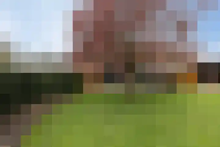 Driezeeg 25 Berlicum thumbnail 54