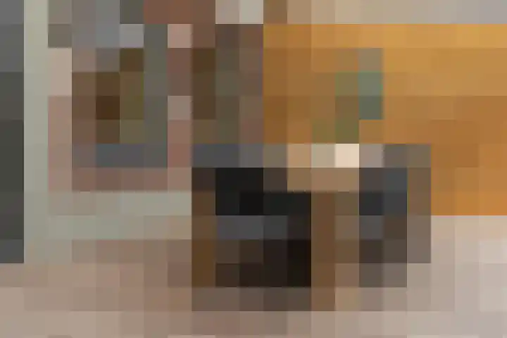 Driezeeg 25 Berlicum thumbnail 56