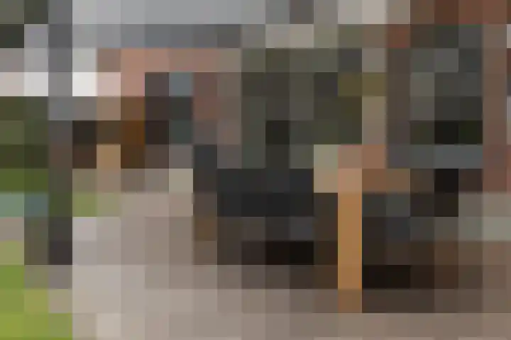 Driezeeg 25 Berlicum thumbnail 57