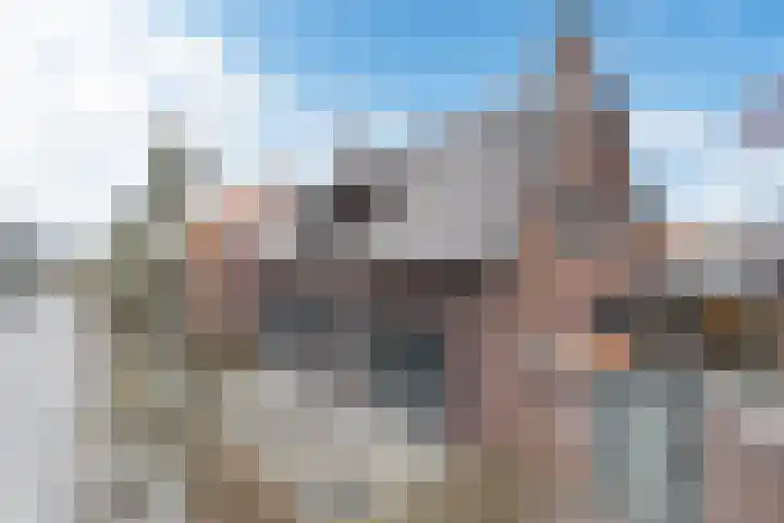 Driezeeg 25 Berlicum thumbnail 7