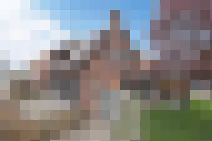 Driezeeg 25 Berlicum thumbnail 8