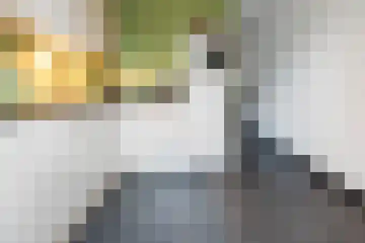 Drift 14 Epe thumbnail 12