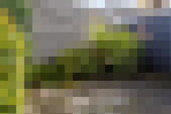 Drift 14 Epe thumbnail 22