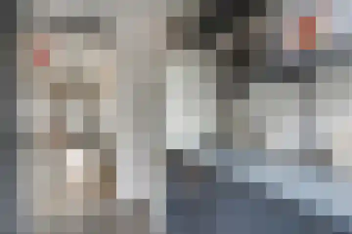 Driftweg 21 Elst Ut thumbnail 15