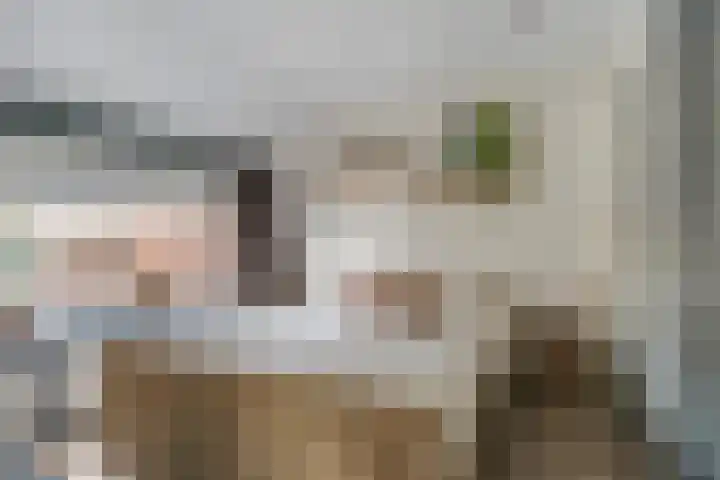 Driftweg 21 Elst Ut thumbnail 16