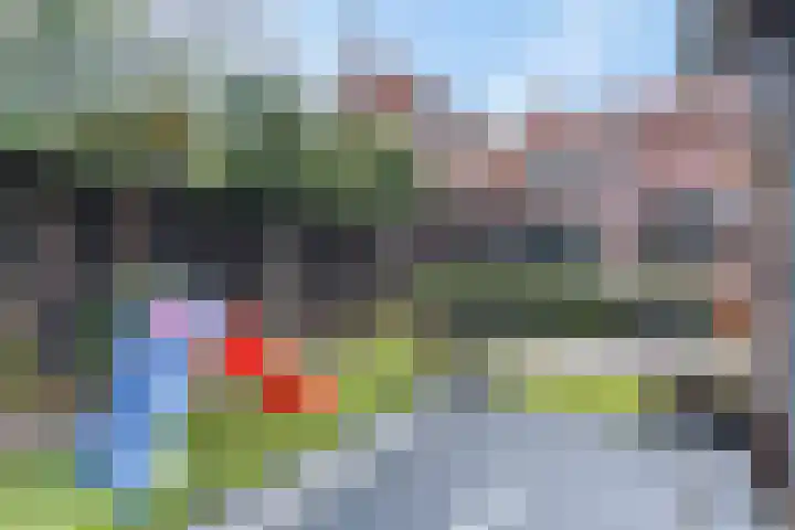 Driftweg 21 Elst Ut thumbnail 26