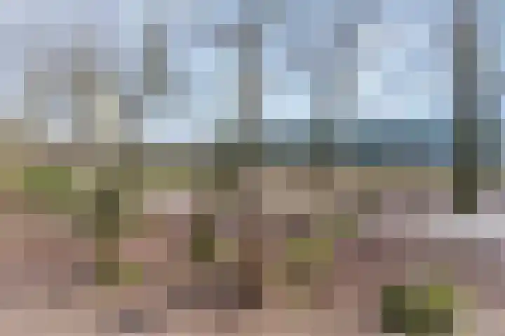 Driftweg 21 Elst Ut thumbnail 33