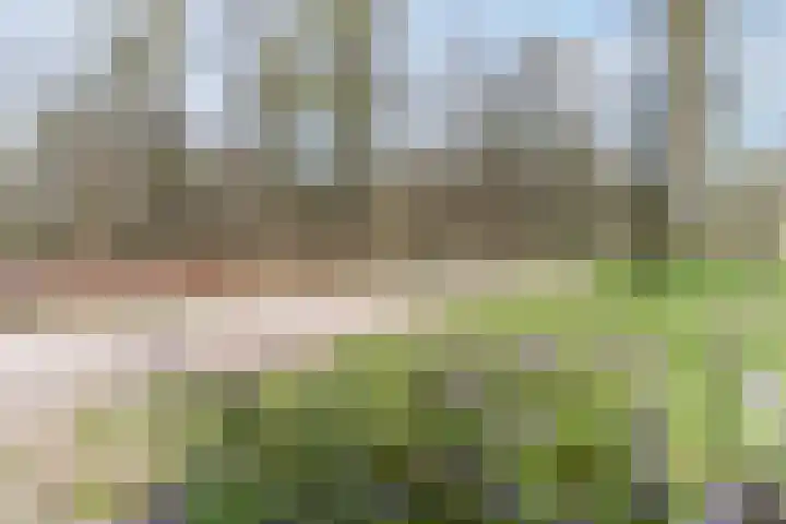 Driftweg 21 Elst Ut thumbnail 35