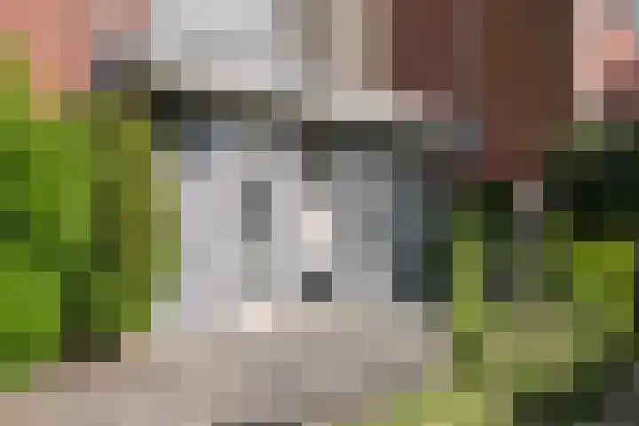 Drijver 89 Maassluis thumbnail 6