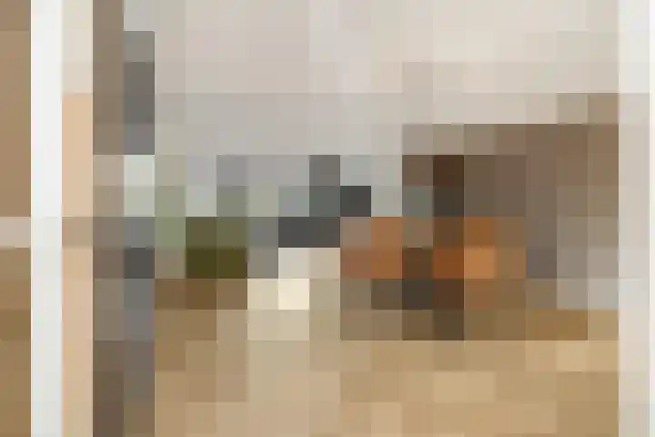 Drijvershof 4 Oss thumbnail 10