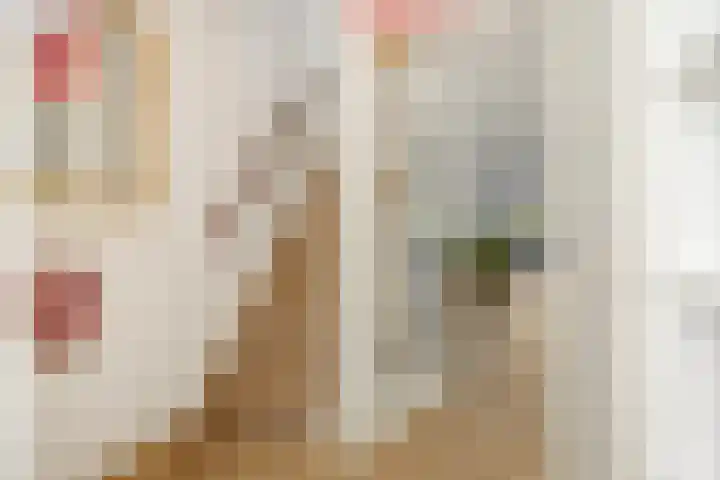 Drijvershof 4 Oss thumbnail 23