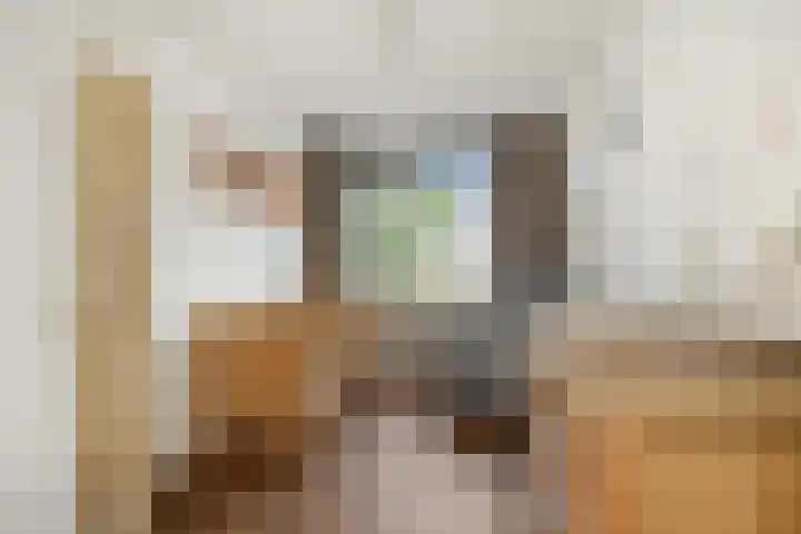 Drijvershof 4 Oss thumbnail 29