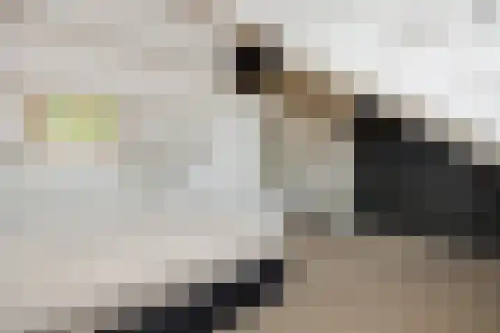Drijvershof 4 Oss thumbnail 31