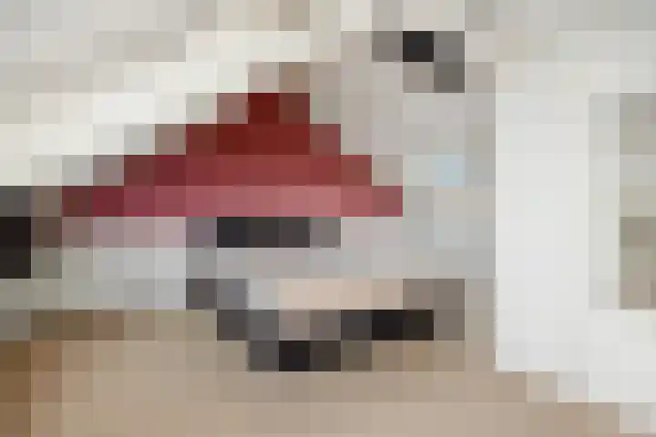 Drijvershof 4 Oss thumbnail 32