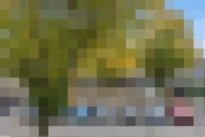 Drijvershof 4 Oss thumbnail 34