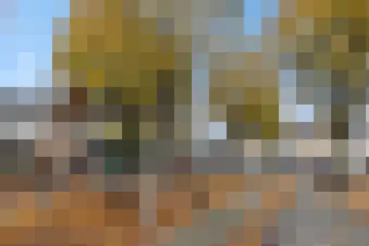 Drijvershof 4 Oss thumbnail 35