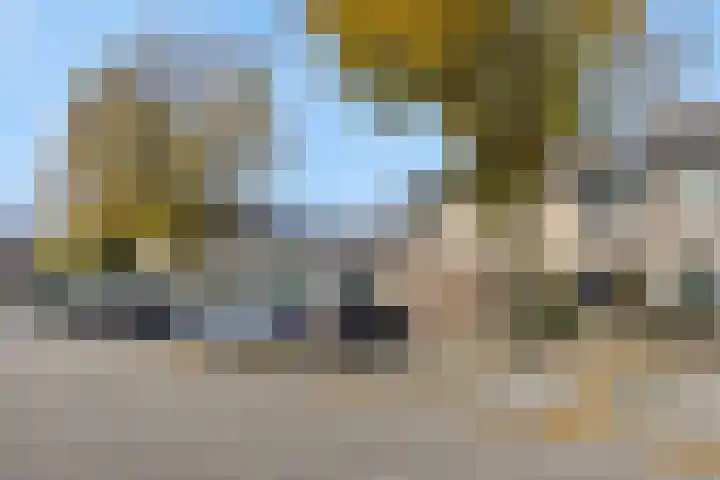 Drijvershof 4 Oss thumbnail 5