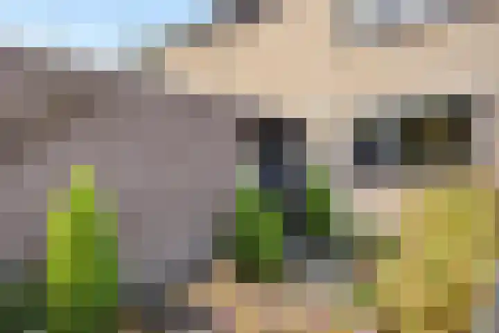 Drijvershof 4 Oss thumbnail 6