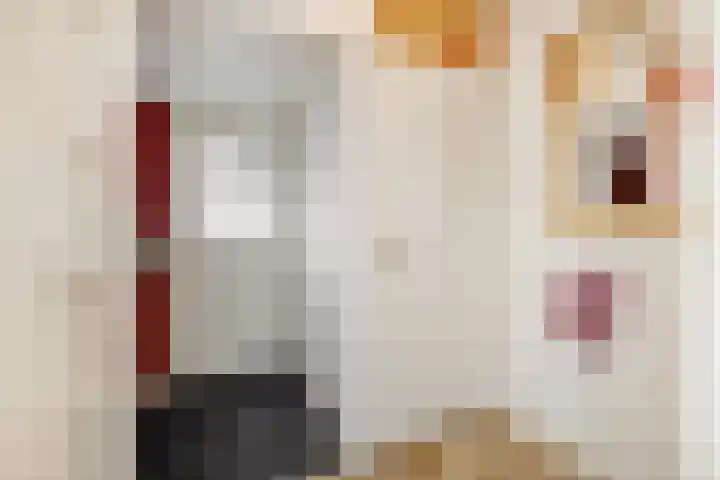 Drijvershof 4 Oss thumbnail 7