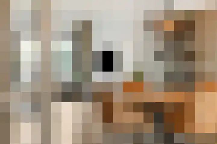 Drijvershof 4 Oss thumbnail 9