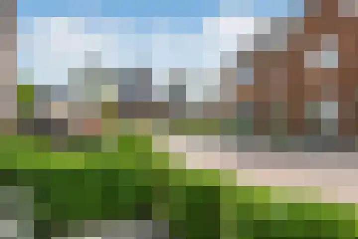 Dromerdijk 10 Arnhem thumbnail 32