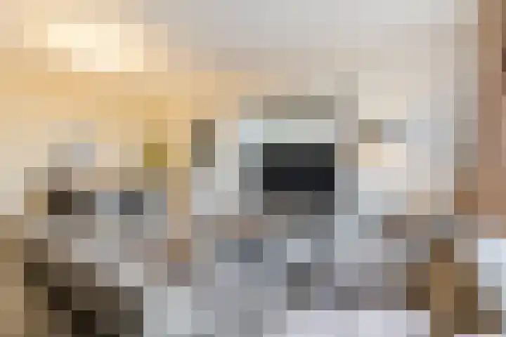 Dronensingel 119 Bodegraven thumbnail 11