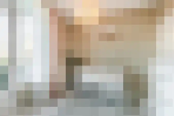 Dronensingel 119 Bodegraven thumbnail 14