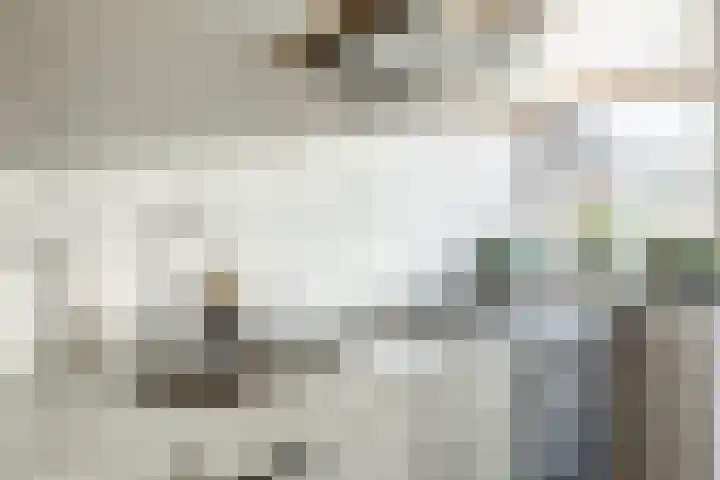 Dronensingel 119 Bodegraven thumbnail 18