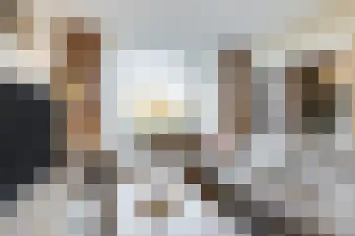 Dronensingel 119 Bodegraven foto 2