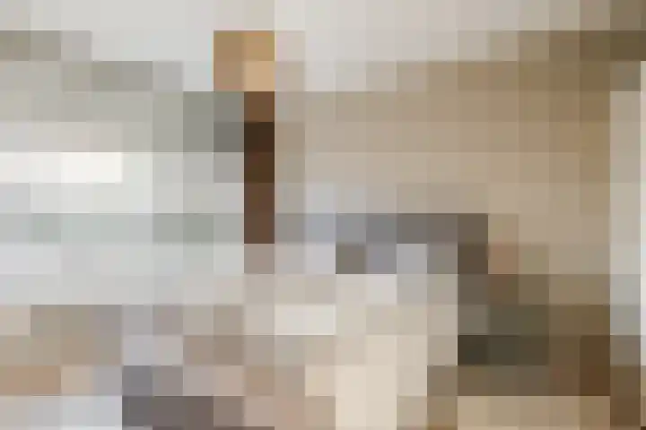 Dronensingel 119 Bodegraven thumbnail 24