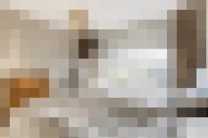 Dronensingel 119 Bodegraven thumbnail 25