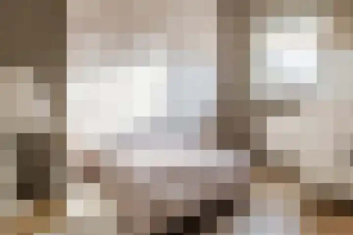 Dronensingel 119 Bodegraven thumbnail 29