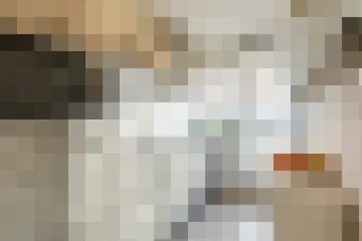 Dronensingel 119 Bodegraven foto 3