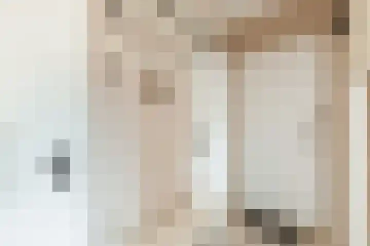 Dronensingel 119 Bodegraven thumbnail 31