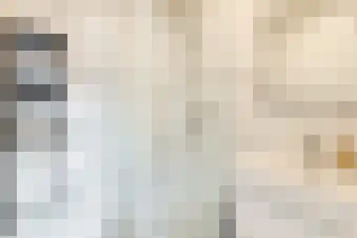 Dronensingel 119 Bodegraven thumbnail 34