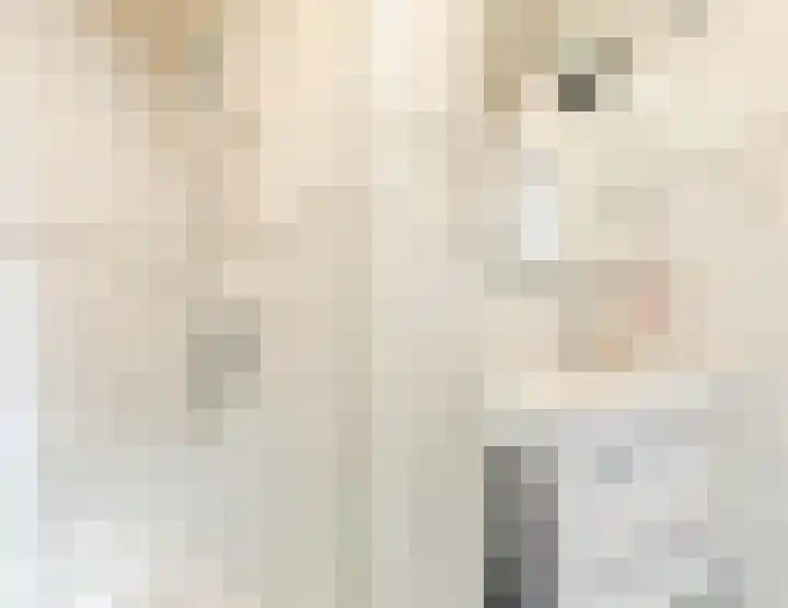 Dronensingel 119 Bodegraven thumbnail 35