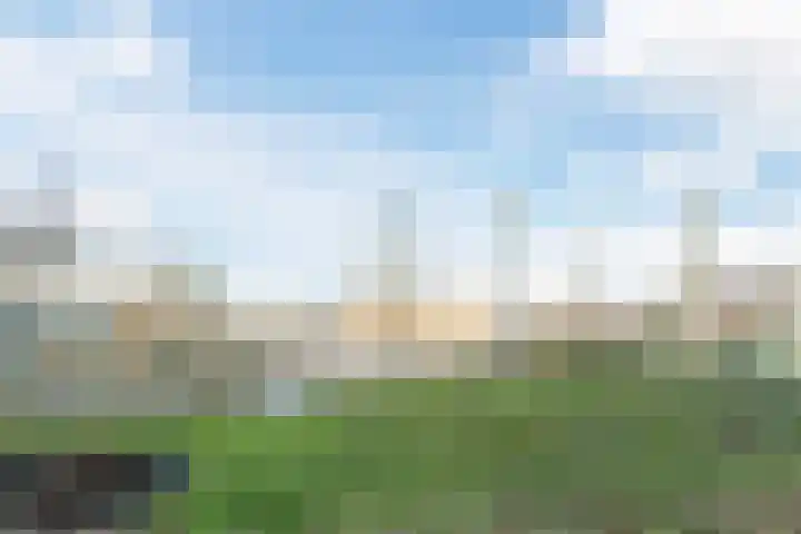 Dronensingel 119 Bodegraven thumbnail 41