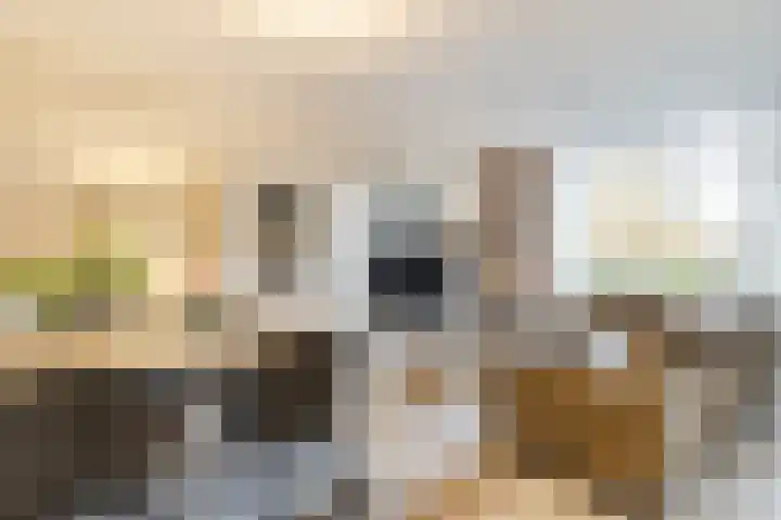 Dronensingel 119 Bodegraven thumbnail 7