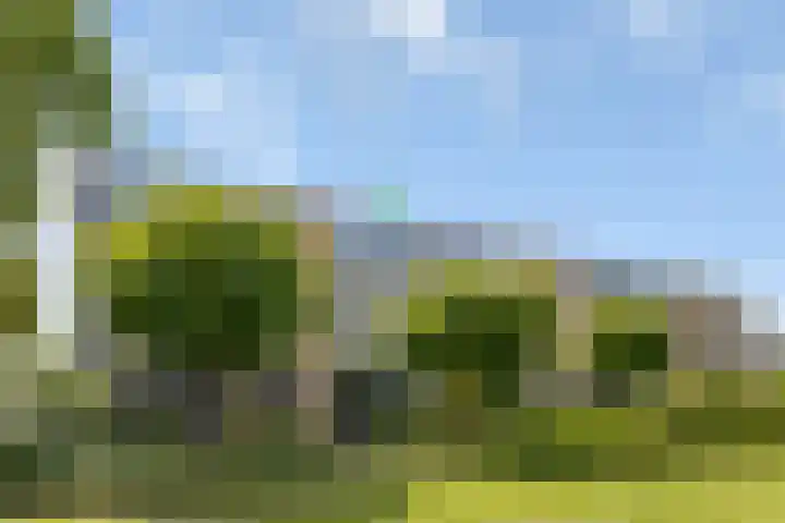 Dronensingel 123 Bodegraven