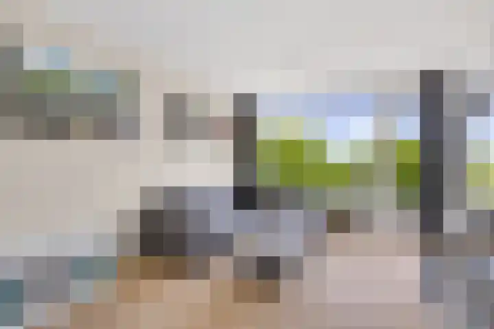 Dronensingel 123 Bodegraven thumbnail 11