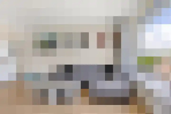 Dronensingel 123 Bodegraven thumbnail 13