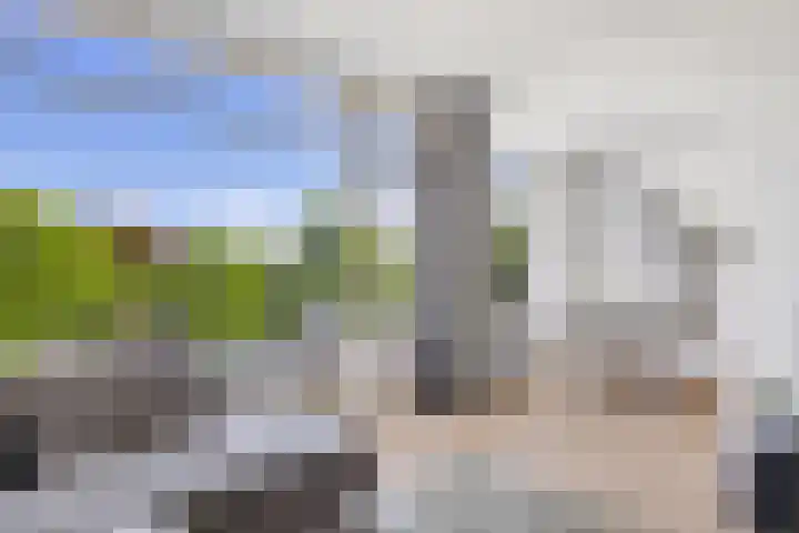 Dronensingel 123 Bodegraven thumbnail 17