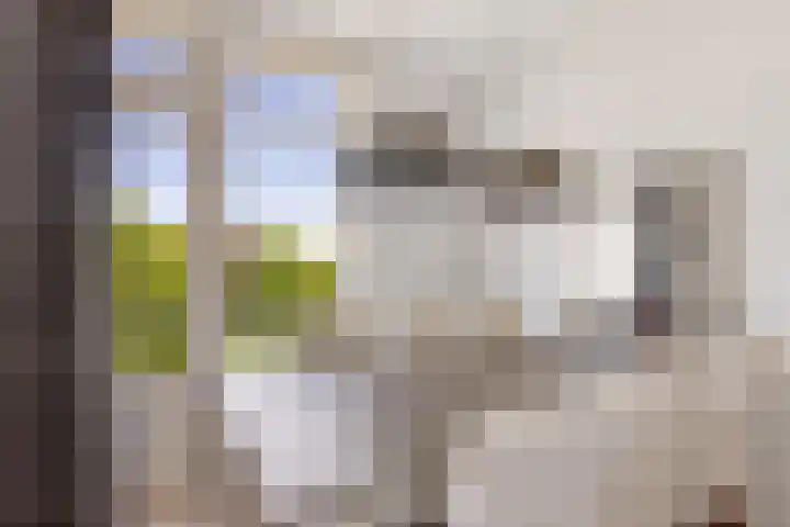 Dronensingel 123 Bodegraven thumbnail 19