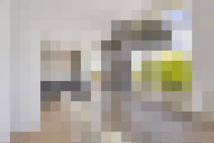 Dronensingel 123 Bodegraven thumbnail 20