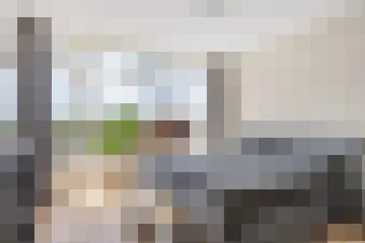 Dronensingel 123 Bodegraven thumbnail 31