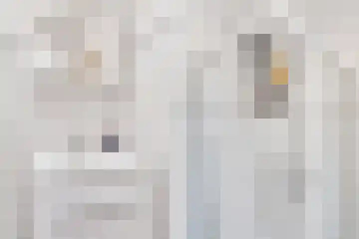 Dronensingel 123 Bodegraven thumbnail 36