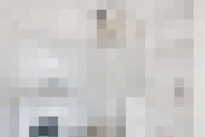 Dronensingel 123 Bodegraven thumbnail 37