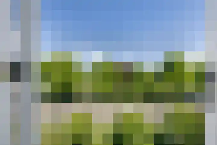 Dronensingel 123 Bodegraven thumbnail 4