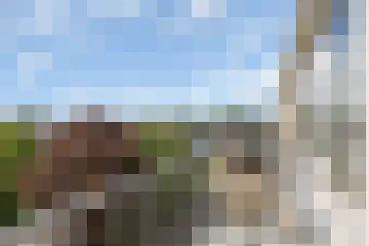 Dronensingel 123 Bodegraven thumbnail 40