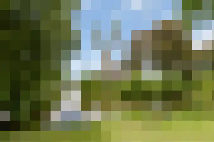 Dronensingel 123 Bodegraven thumbnail 42